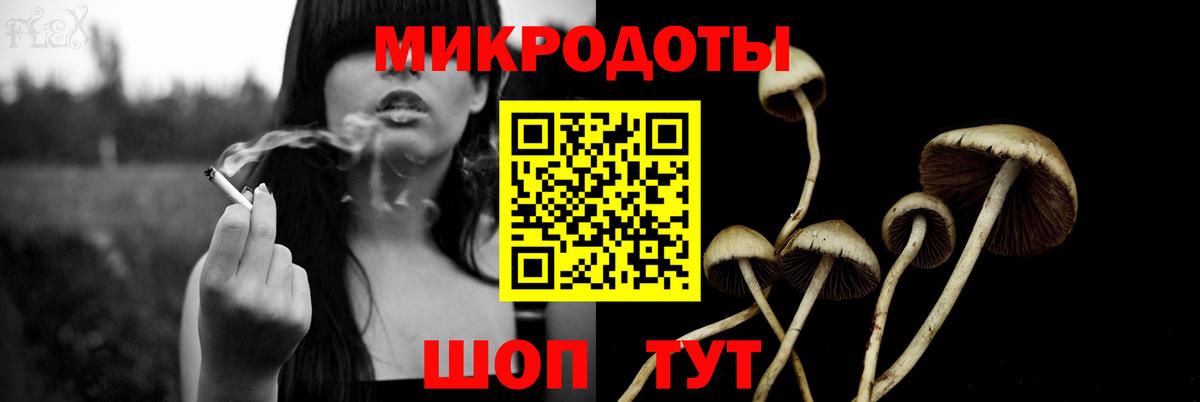 Псилоцибиновые грибы мицелий  закладки  Вход с VPN  Дзержинск  Псилоцибиновые грибы Cubensis 